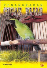 Image of Penangkaran Cucak Hijau